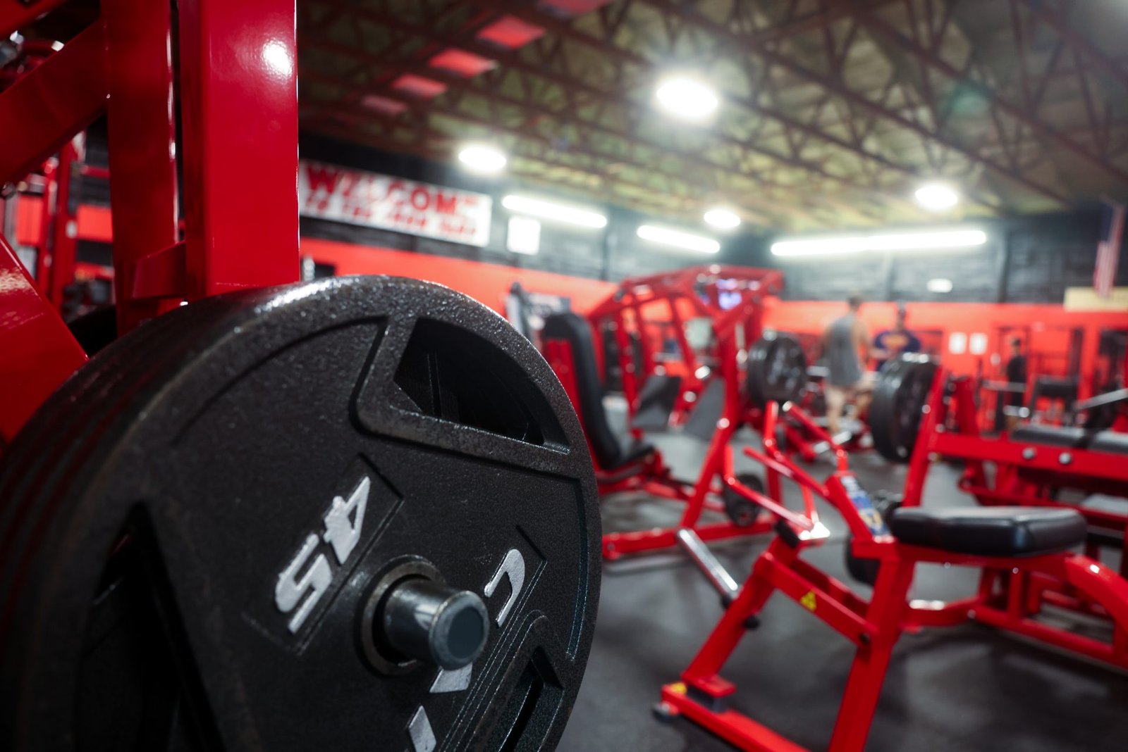Free weights and plates