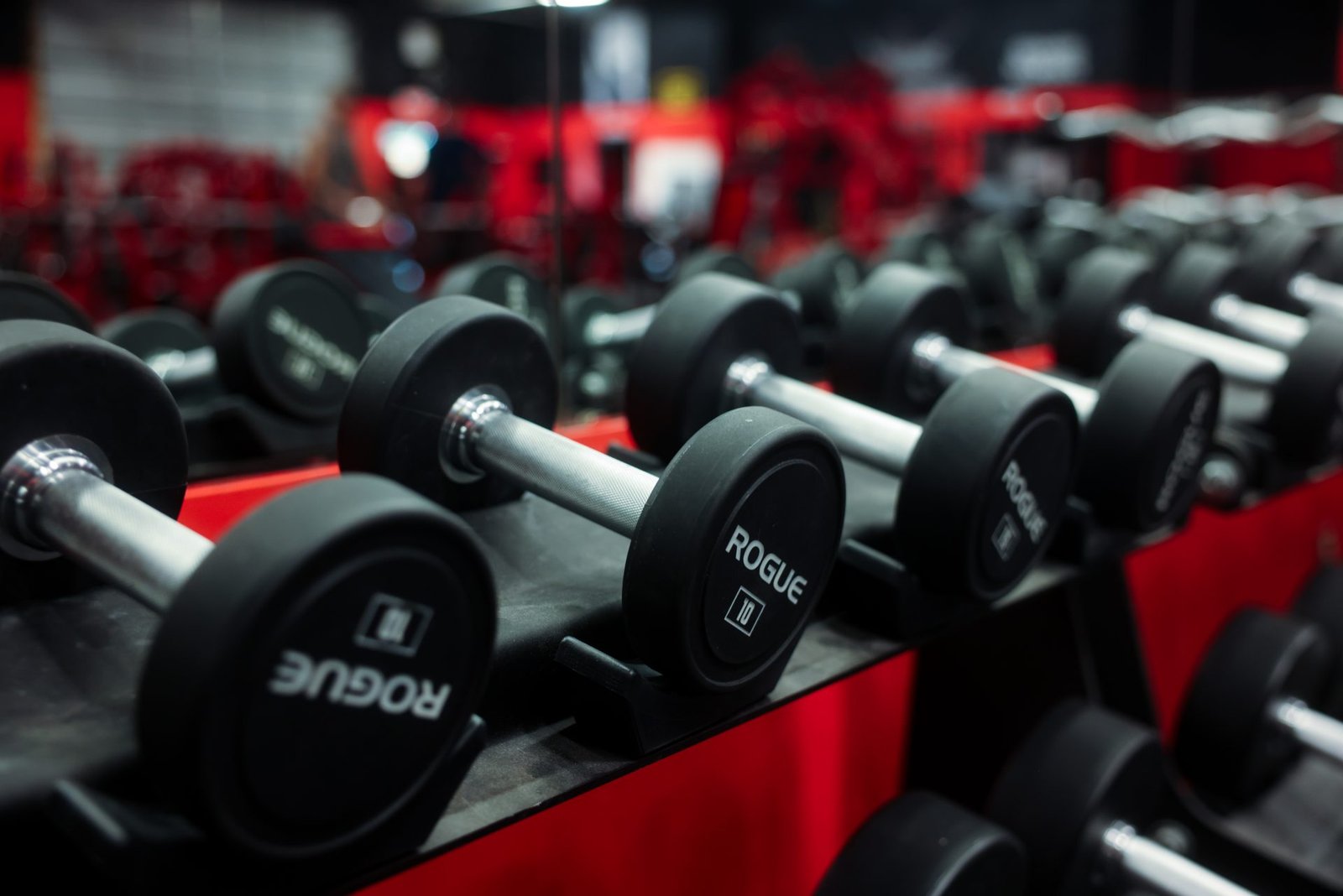 Rogue dumbbell rack